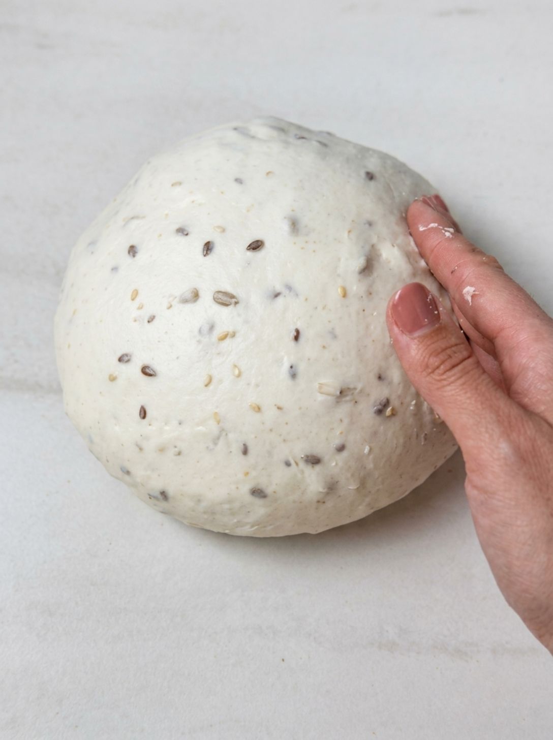 Preshaped sourdough dough holding a firm, taut round shape on the counter