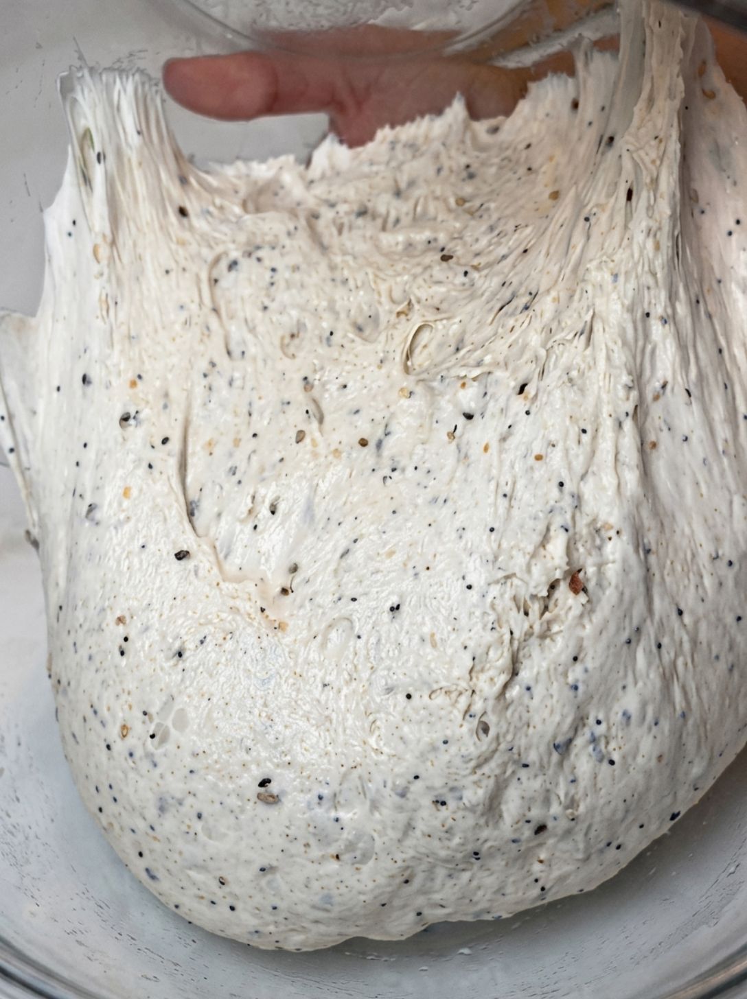 Sourdough dough being lifted out of a bowl in one piece without sticking