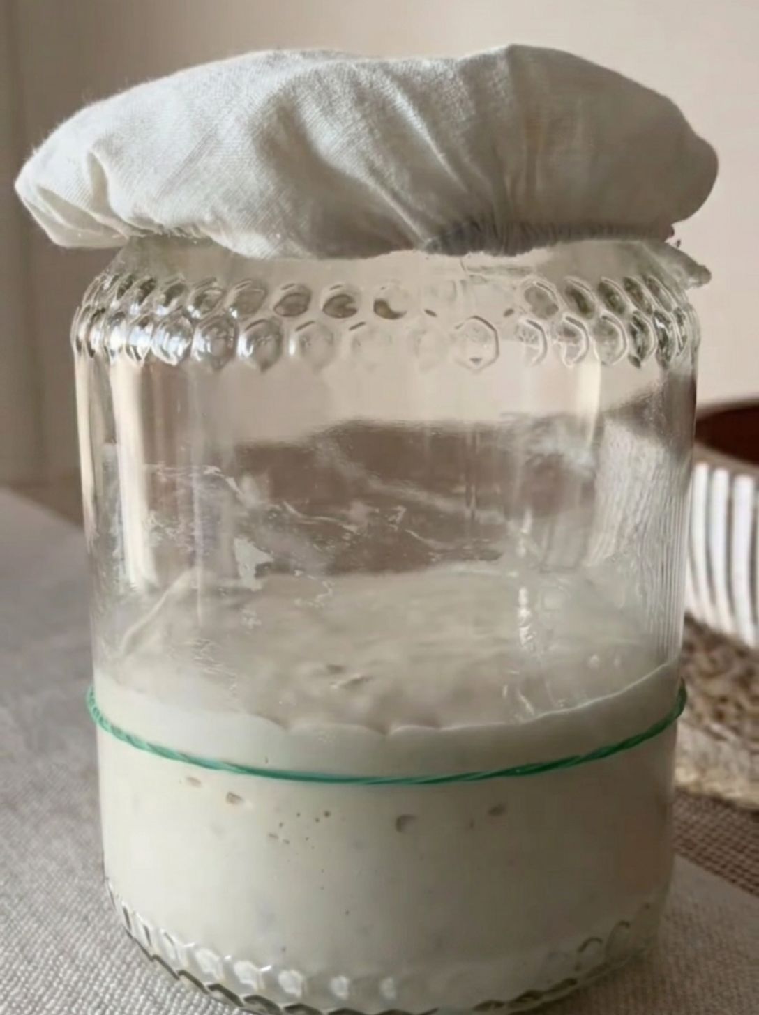 Sourdough starter in a glass jar showing a predictable rise after feeding