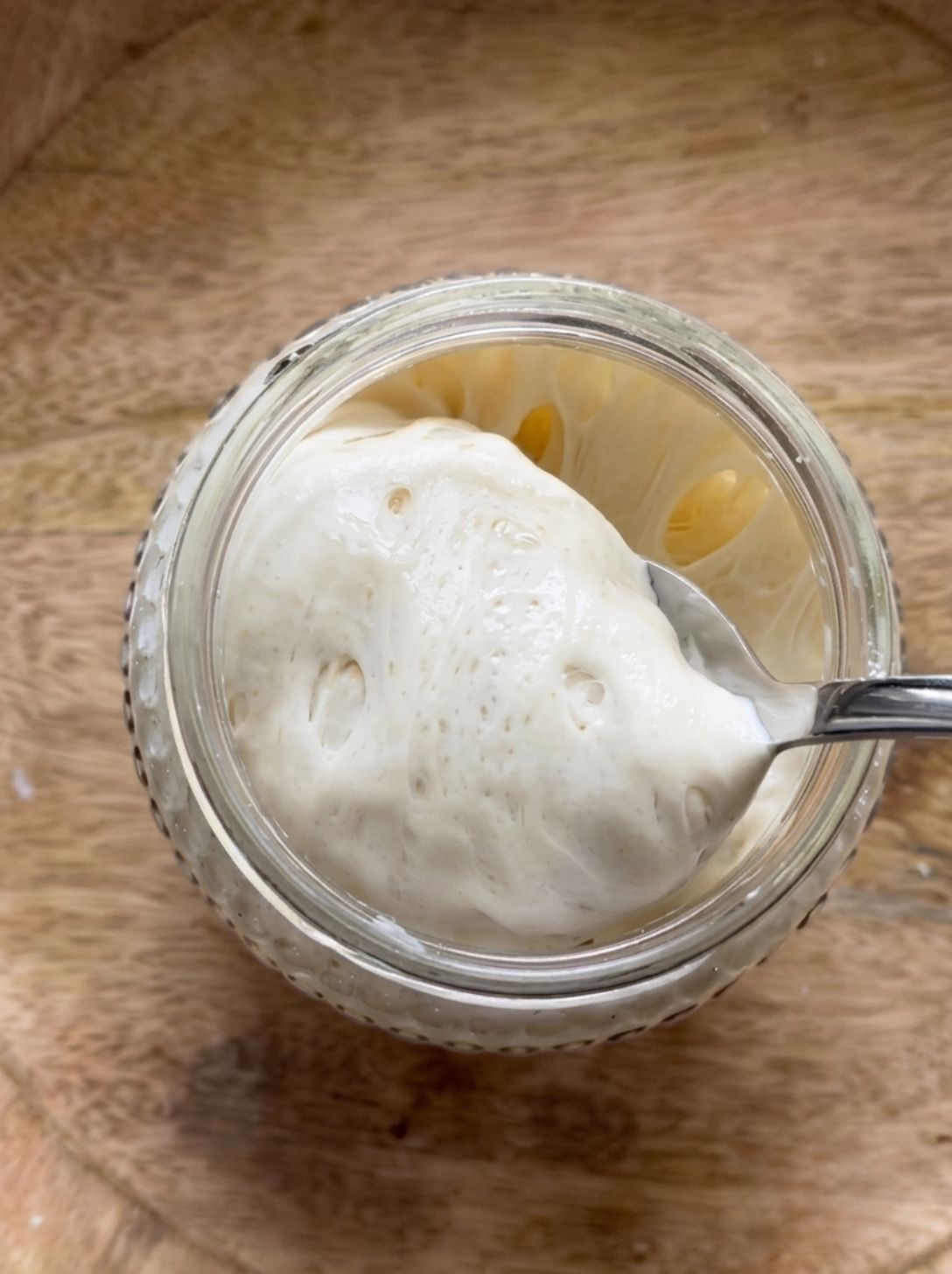 Spoon lifting sourdough starter to show quick recovery after feeding