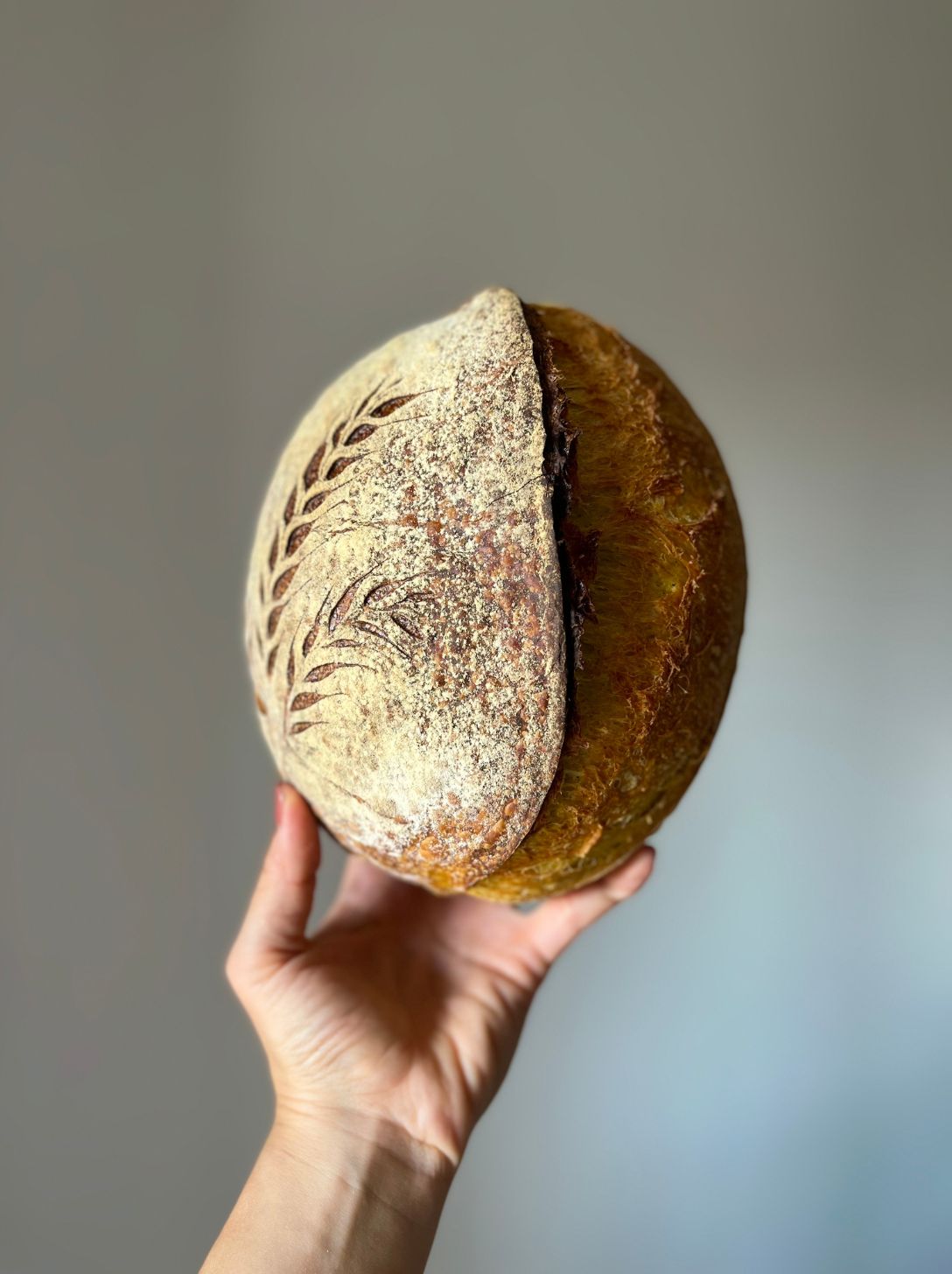 Baked sourdough loaf with a bloomed wheat-stalk scoring pattern across the crust